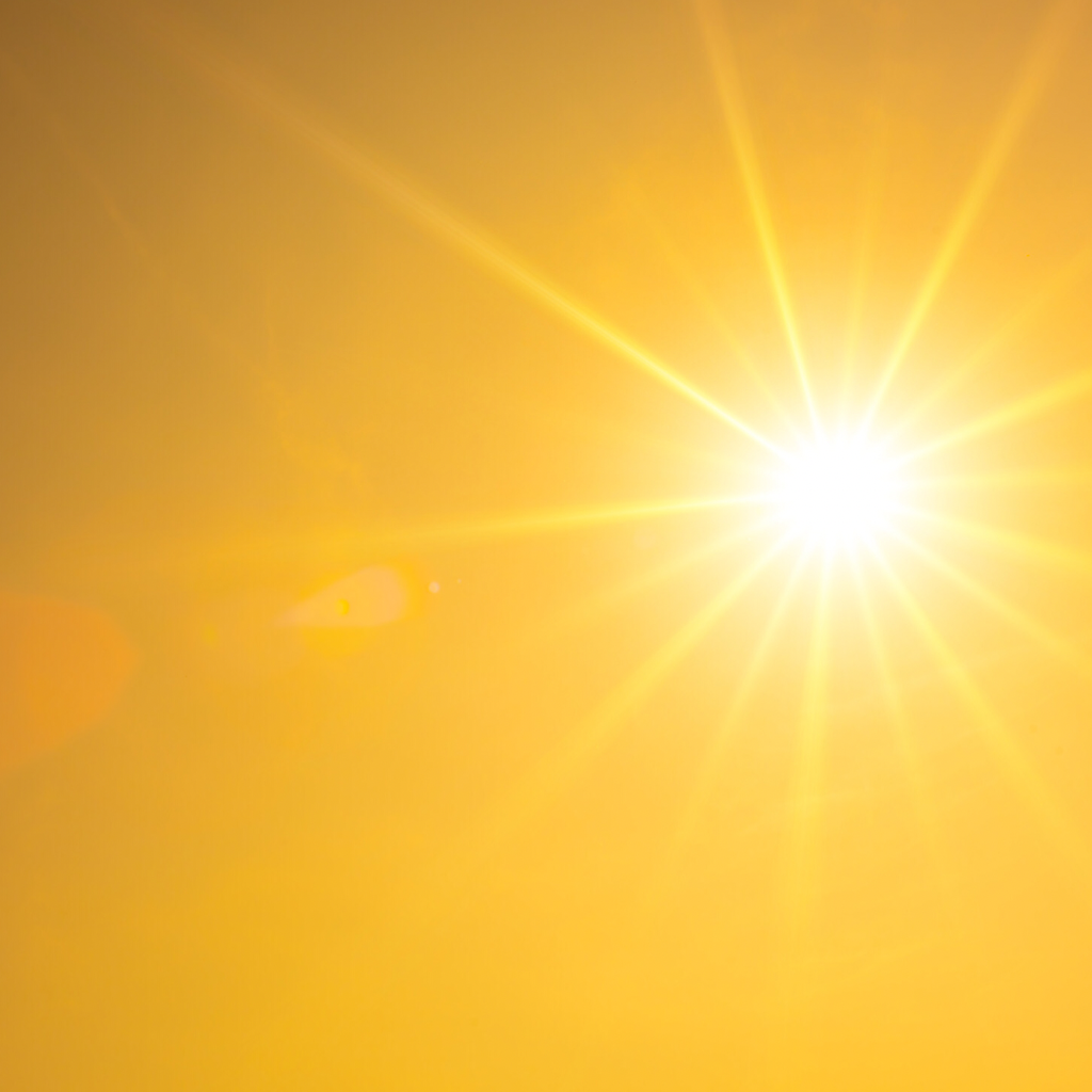 5 Things You Really Need to Know About Vitamin D