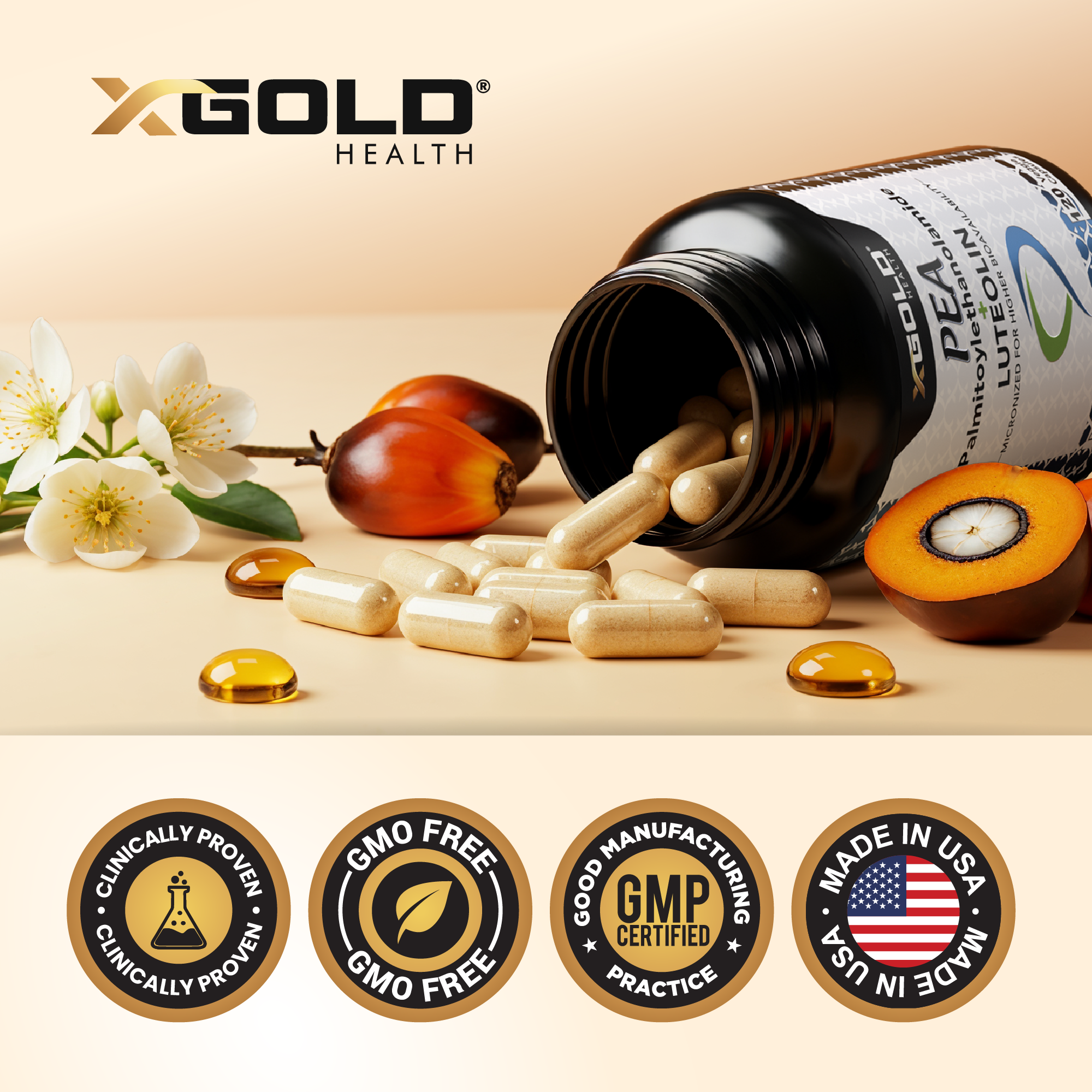PEA + Luteolin: Discomfort and natural way to relieve - X Gold Health