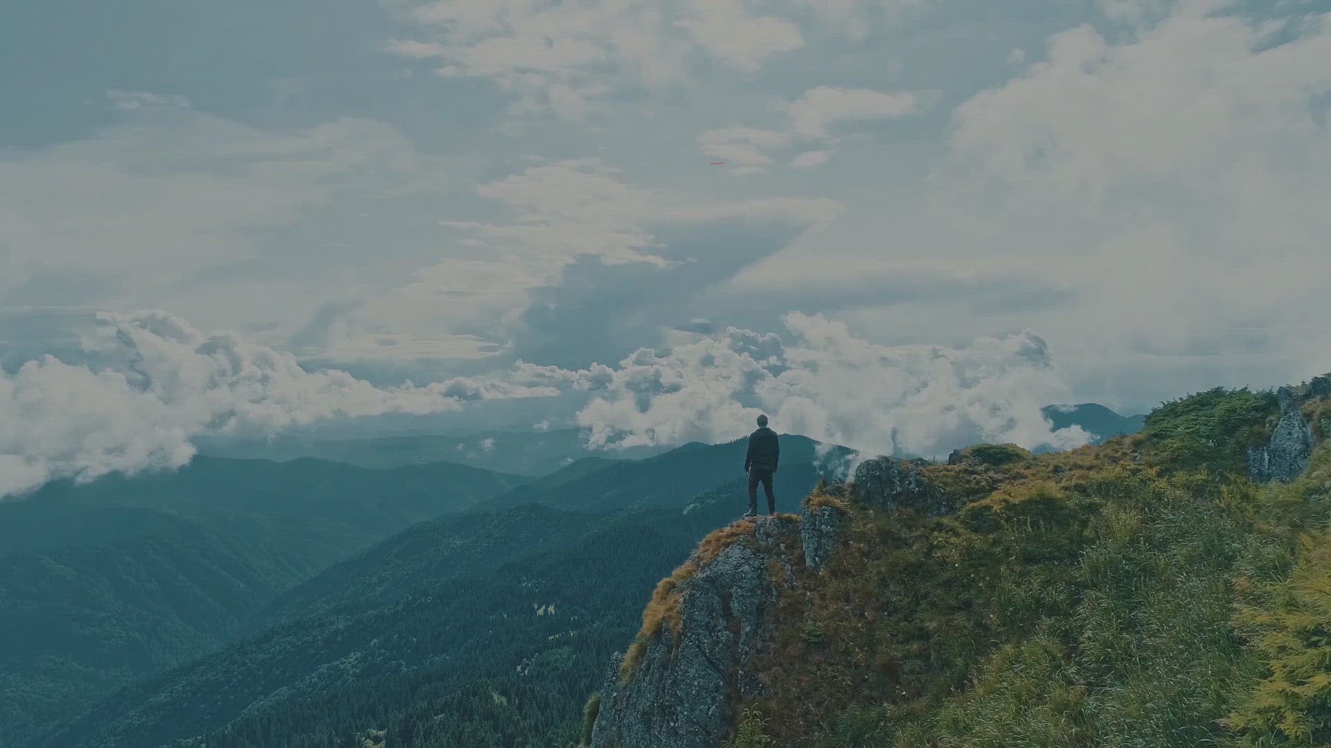 X Gold Health Korean Red Panax Ginseng 1200mg & Ginkgo Biloba – Extra Strength Root Extract for Energy, Focus & Performance - Made in USA